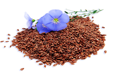 flax seeds for parasites