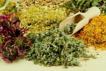 Folk remedies for parasites