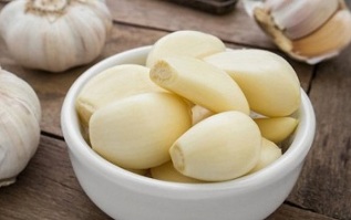 removal of parasites from the body with garlic
